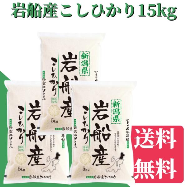 新米 令和7年産 岩船産こしひかり 15kg（5kg×3）送料無料 米/お米 こめ/ギフト/プレゼン...