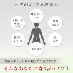 【お得な6本セット】FeriaLab 5-デア...の詳細画像4
