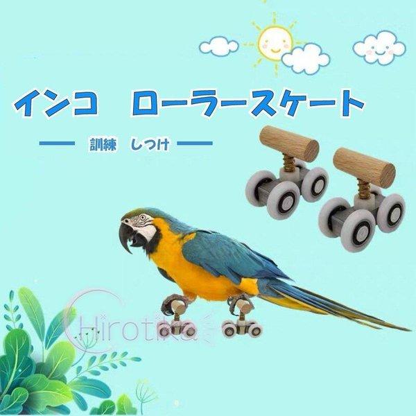 小鳥 インコ オウム ローラースケート ストレス解消 しつけ 訓練 学習 遊び ストレス解消 運動 ...