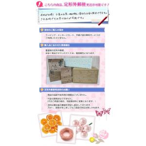 プリザーブドフラワー ガーベラ レッド 1輪 ...の詳細画像1