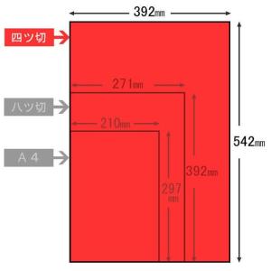 【在庫限り】リンテック 色画用紙 ニューカラー...の詳細画像1