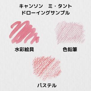 ミューズ イラスト用ボード キャンソンボード#...の詳細画像2
