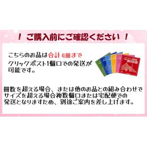 【在庫限り】大与紙工 教材用 ダイヨのおりがみ...の詳細画像2