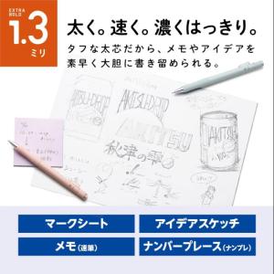 【名入れ無料】トンボ鉛筆 モノワーク 1.3m...の詳細画像2