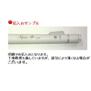 【名入れ無料】トンボ鉛筆 モノワーク 1.3m...の詳細画像5