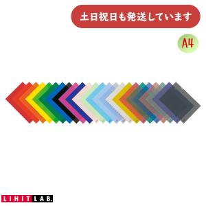 【現品限り】リヒト カラークリヤーホルダー A4 文房具 文具 収納 収容 整理 整頓 LIHIT