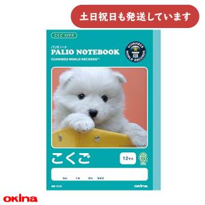 日本ノート スクールキッズ さんすう 14マス SL114 : ブング