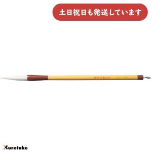 呉竹 太筆 高節 4号 白毛 文房具 文具 書道 書写 習字 筆 中鋒 硬め