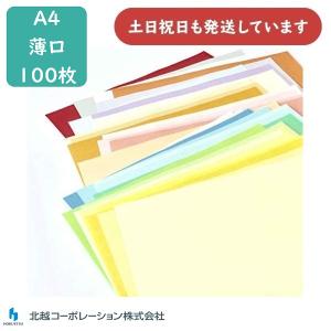 【在庫限り】北越 紀州の色上質紙 A4 薄口 55kg 100枚入 文房具 文具 工作 切り絵 ペーパークラフト カラーペーパー 印刷用紙 表紙用紙