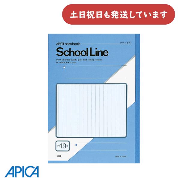 日本ノート スクールライン セミB5 縦罫ノート 19行 文房具 文具 アピカ ノート 学習帳 Sc...