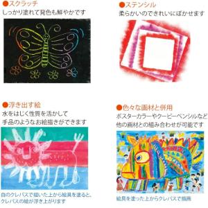 サクラクレパス ニュークレパス かくがた 単色...の詳細画像5