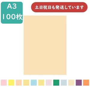 【在庫限り】カラーコピー用紙 オフィスカラー カ...の商品画像