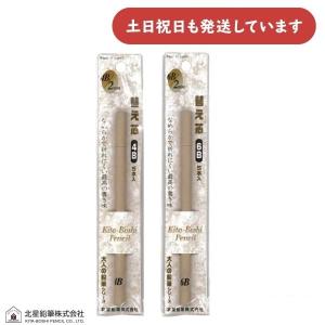 北星鉛筆 シャープペン 大人の色鉛筆 13色セット<br> OTP-IE13 : こめ