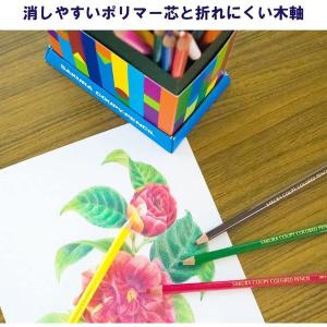 【名入れ無料】サクラクレパス クーピー色鉛筆 ...の詳細画像3