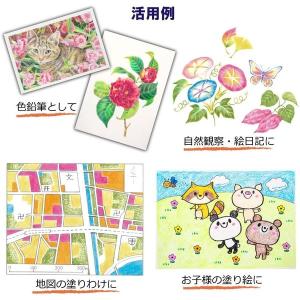 【名入れ無料】サクラクレパス クーピー色鉛筆 ...の詳細画像4