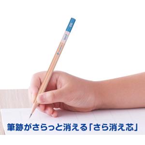 【名入れ無料】トンボ鉛筆 ippo! きれいに...の詳細画像2