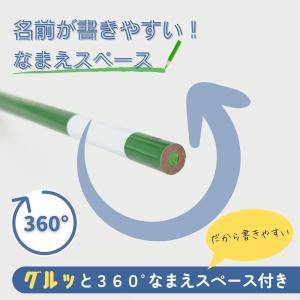 【名入れ無料】レイメイ 先生オススメ!! 色鉛...の詳細画像2