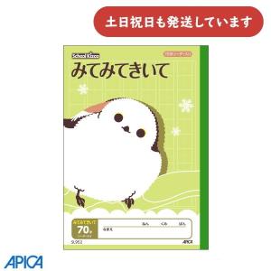 超激レア アピカ株式会社 非売品 ノート 超激レア アピカ株式会社 非売品 ノート 超激レア アピカ株式