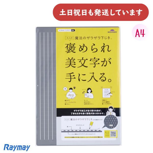 レイメイ 大人の魔法のザラザラ下じき A4 0.3mmドット 文房具 文具 美文字 Raymay 方...