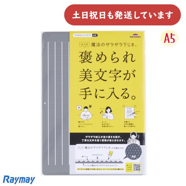 レイメイ 大人の魔法のザラザラ下じき A5 0.3mmドット 文房具 文具 美文字 Raymay 方...