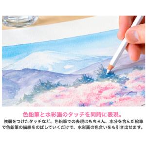【名入れ無料】三菱鉛筆 ユニ ウォーターカラー...の詳細画像1
