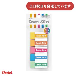 プラチナ万年筆 デスクペン(採点ペン) ソフトペン (黒インク)DPQ-700A