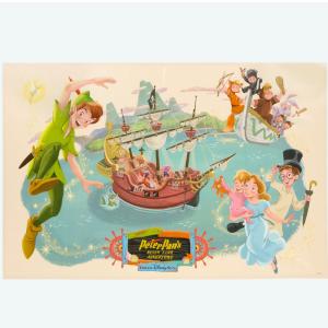 ピクニックシート ミッキー ミニー 東京ディズニーリゾート 限定