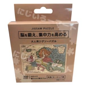茶道具・棗 】薄茶器 中次 総竹林、加賀の蒔絵師 和田寿峰作 : 佐藤