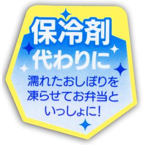 スケーター 抗菌 おしぼりセット ケース付き ...の詳細画像2