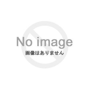 ARAI TENT（アライテント） ライペン ONI DOME 1 アンダーシート｜nijinoshopred