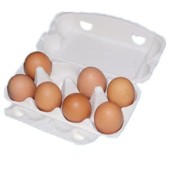 Hepatton 卵ケース 紙の卵パック 8 ガード 鶏卵カートントレイ 蓋付き卵ホルダー収納ボック...
