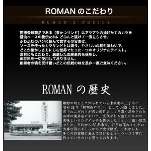 煮かつサンド冷凍 ロース3人前 ヒレ3人前 冷...の詳細画像1
