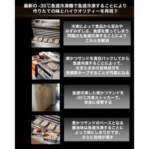 煮かつサンド冷凍 ロース3人前 ヒレ3人前 冷...の詳細画像3