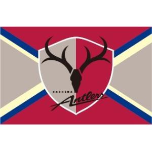 28 【石原満梨菜】BBM2015 中日 チアドラゴンズカードセット