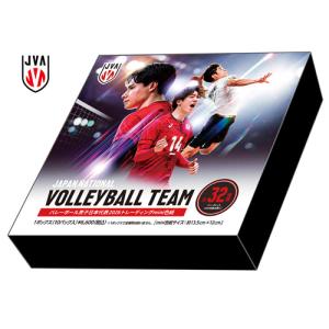 バレーボール男子日本代表2025」トレーディングmini色紙 BOX 2025年7月