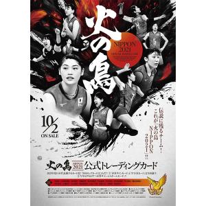 13 【岩坂名奈】全日本女子バレーオフィシャルカード2019 「火の鳥