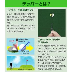 メガジェーピー MEGA・JP ROGER K...の詳細画像2