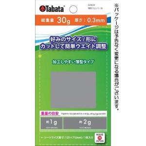 タバタ（Tabata） 薄型ウエイト30 GV-0624｜nikigolf