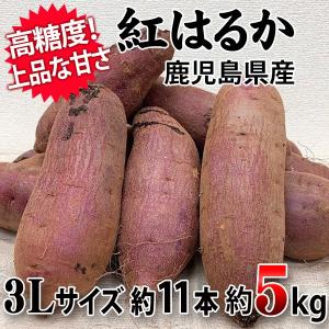 送料無料　紅はるか　3Lサイズ　約5Kg　約9本　鹿児島県産他　しっとりしつつ滑らかな口触り！　さつまいも