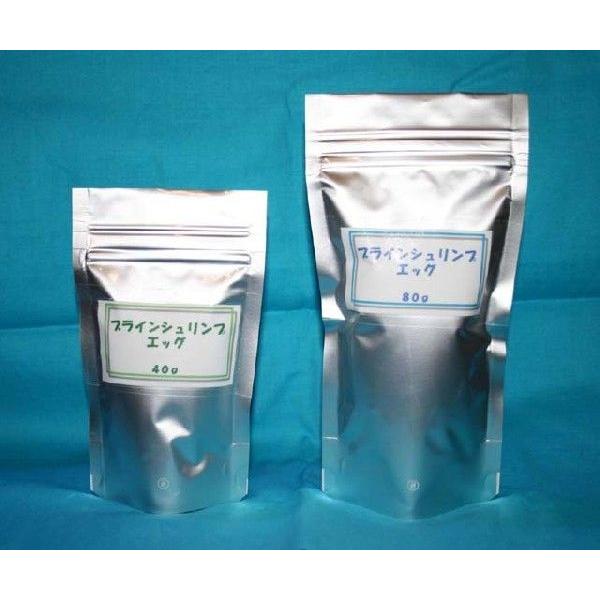 ブラインシュリンプエッグ８０g(海水魚・熱帯魚繁殖用品)