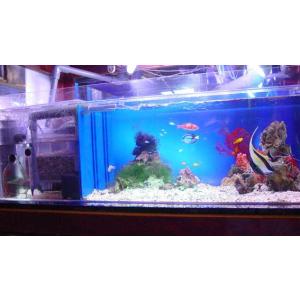 新品本物 かんたん槽 Nk 90 フルセット 海水魚 熱帯魚用品 704 日海 Web Com 通販 Yahoo ショッピング Lubarol Com