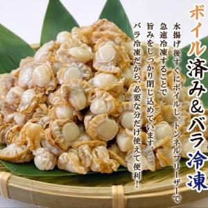 国産ベビーホタテ 1kg Lサイズ 約80〜1...の詳細画像1