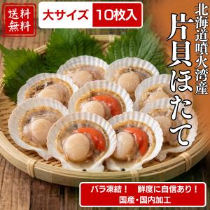 殻付きホタテ 大サイズ 10枚入 ほたて 帆立 北海道 噴火湾産 バーベキュー BBQ 冷凍