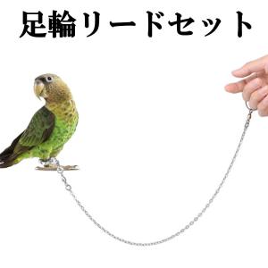 鳥用 足輪 リード セット 足環付きリード イ...の詳細画像1