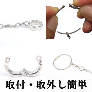 鳥用 足輪 リード セット 足環付きリード イ...の詳細画像4