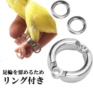 鳥用 足輪 リード セット 足環付きリード イ...の詳細画像5