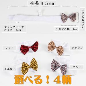 犬 チョーカー リボン 蝶ネクタイ パーティー...の詳細画像4