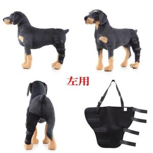 サポーター プロテクター 犬用 ヘルスケア 介護用品 犬用品 ペット用品 生き物 通販 Yahoo ショッピング