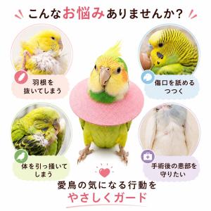 鳥用 エリザベスカラー ソフト 小鳥 インコ ...の詳細画像1