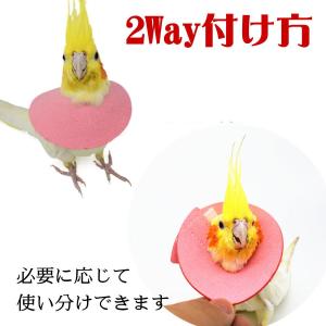 エリザベスカラー 鳥 ソフト バードネックカラ...の詳細画像4